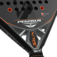 Siux Pegasus Revolution 3K 2023 racket Padel Racket Siux